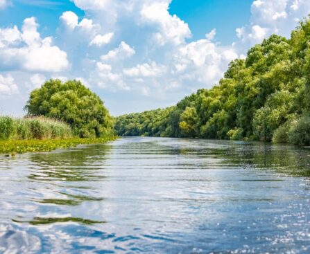 Destinații Delta Dunarii